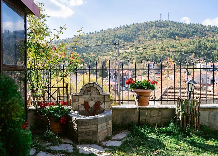 Selikalpakishouse Kato Vermion